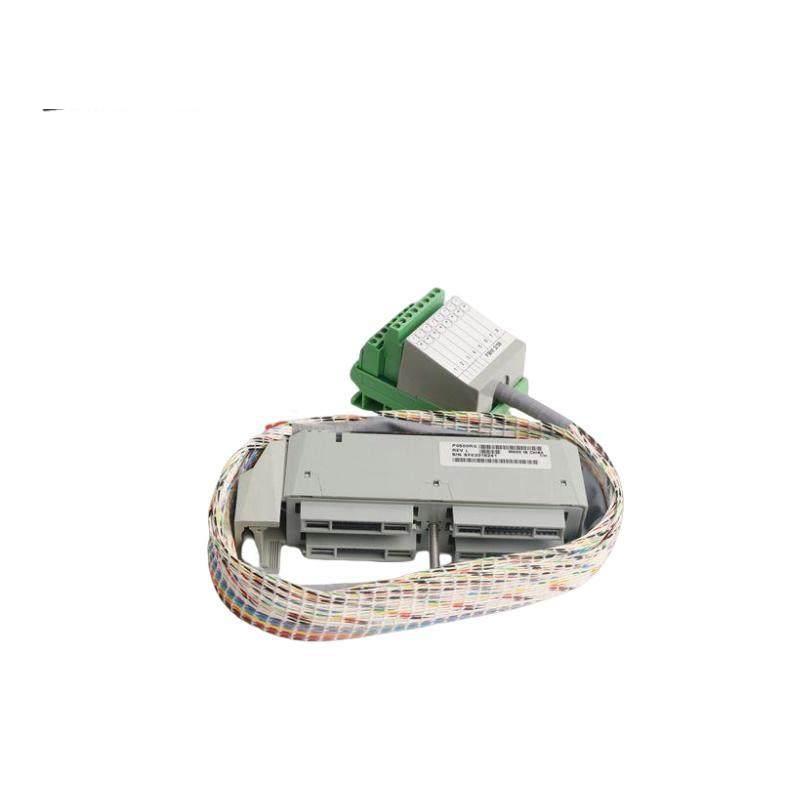Foxboro FBM2/36 P0500RG Termination Cable Assembly