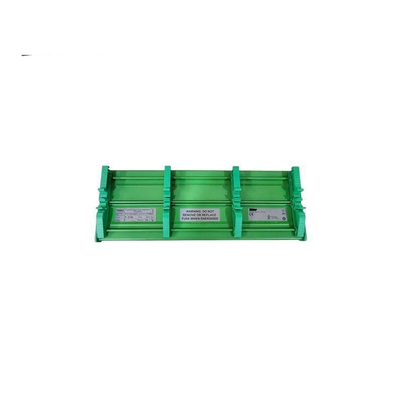 ICS Triplex T8800C Digital Input FTA