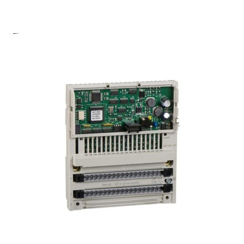 Schneider 170AAO92100 Analog Output