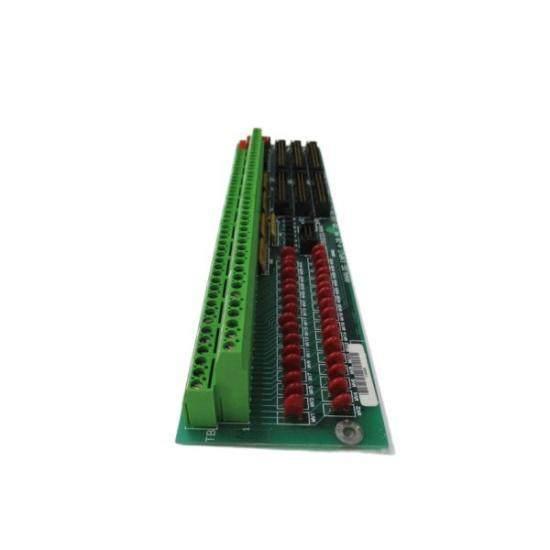 GE Fanuc DS200TBQCG1AAA Terminal Panel