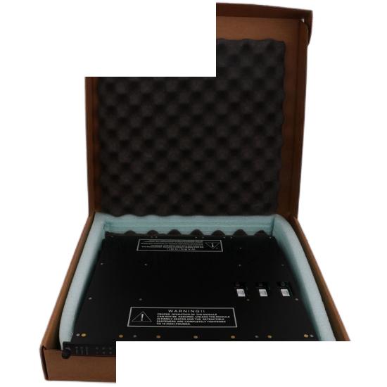 Triconex DO3401 Digital Output Module