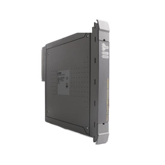 ICS TRIPLEX T8111C