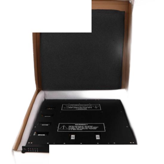 Invensys Triconex 9662-610 Panel Field Termination
