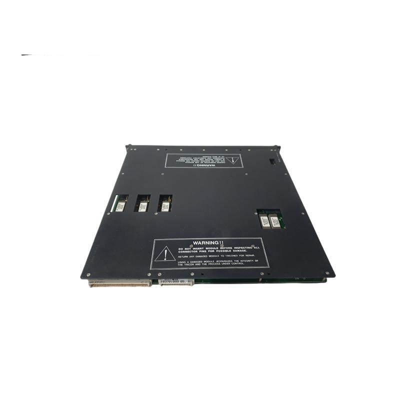 TRICONEX 4119