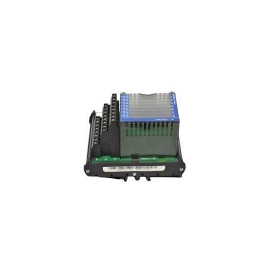 Foxboro Invensys FBM206 P0916JQ Terminal Assembly
